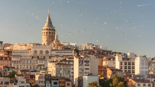 Örnek tema içeriği için temsili fotoğraf